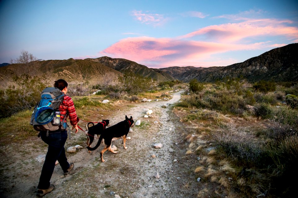 Pacific Crest Trail