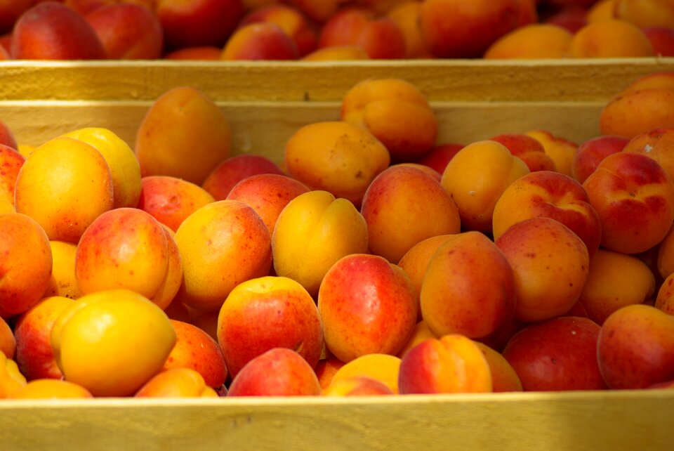 Fruit market apricots