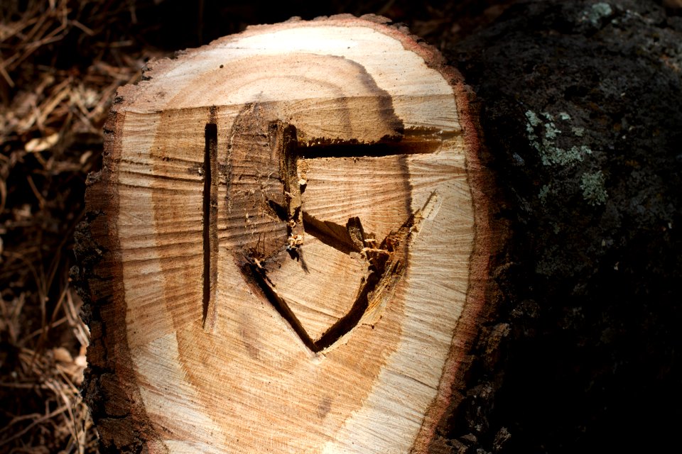 Trail 15 is MARKED