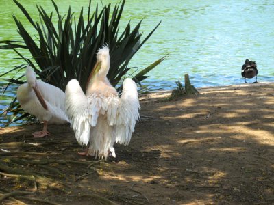 Imagem 017