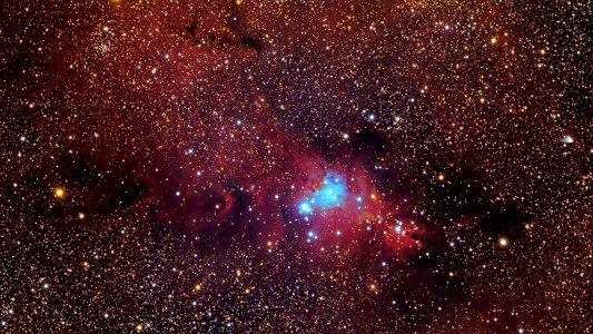 NGC2264 Complex, DSLR Image photo