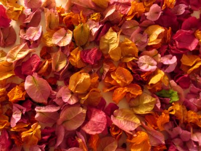 Imagem 052