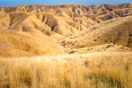 Panoche Hills