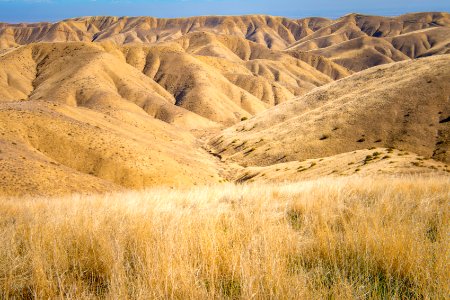 Panoche Hills photo