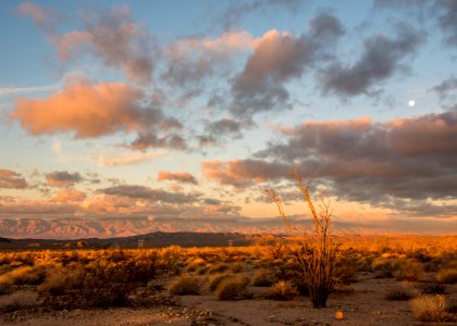 Sunrise moonset within BLM Palm Springs-South Coast photo