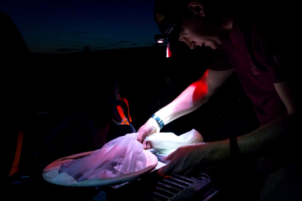 Bethany Beach Firefly Survey - 2019