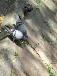 Imagem 055