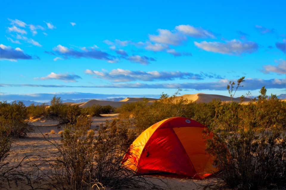 Cadiz Dunes Wilderness