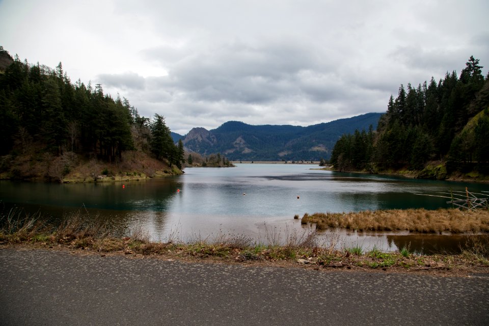 Little White Salmon Fish Hatchery