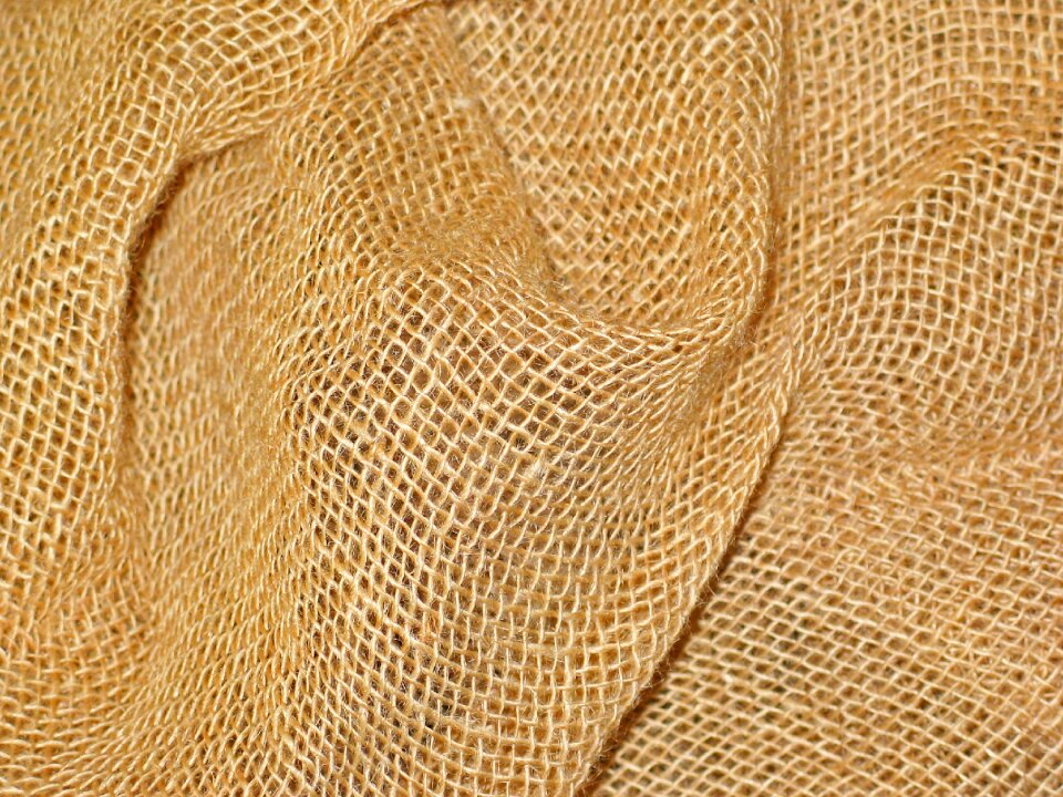Structure close up tissue