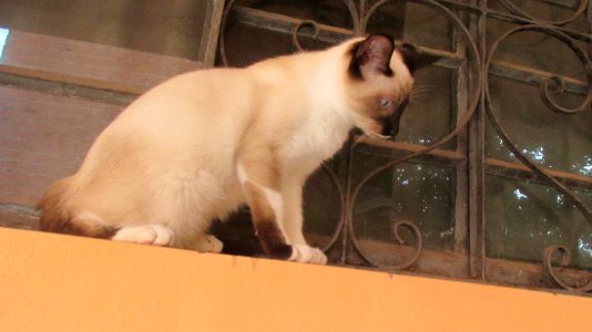 Imagem 035