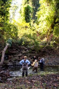 Chesapeake logperch surveying