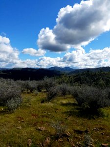 South Serpentine in the Red Hills