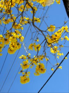 Imagem 001