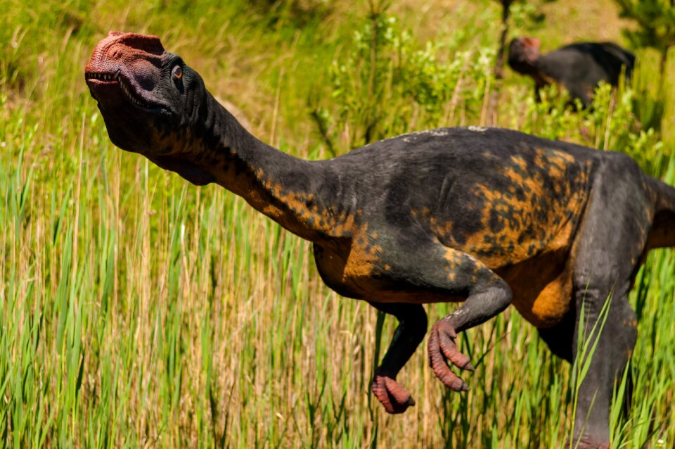 Dino extinct model