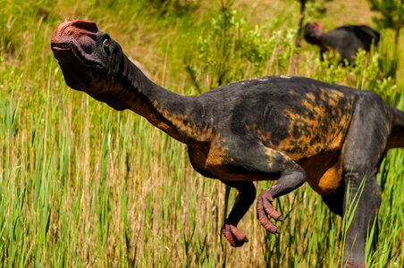Dino extinct model