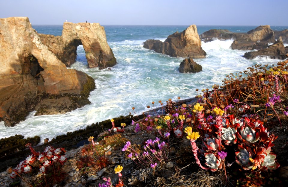 Point Arena-Stornetta unit of the California Coastal National Monument