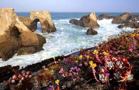 Point Arena-Stornetta unit of the California Coastal National Monument