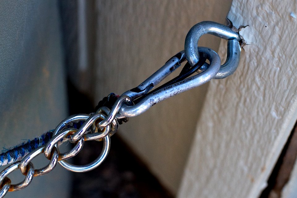 2016/366/320 Holding On Anyway We Can