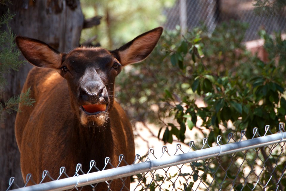 I Dare You To Take My Photo!