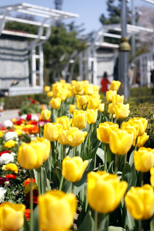 Flower gardens happy garden