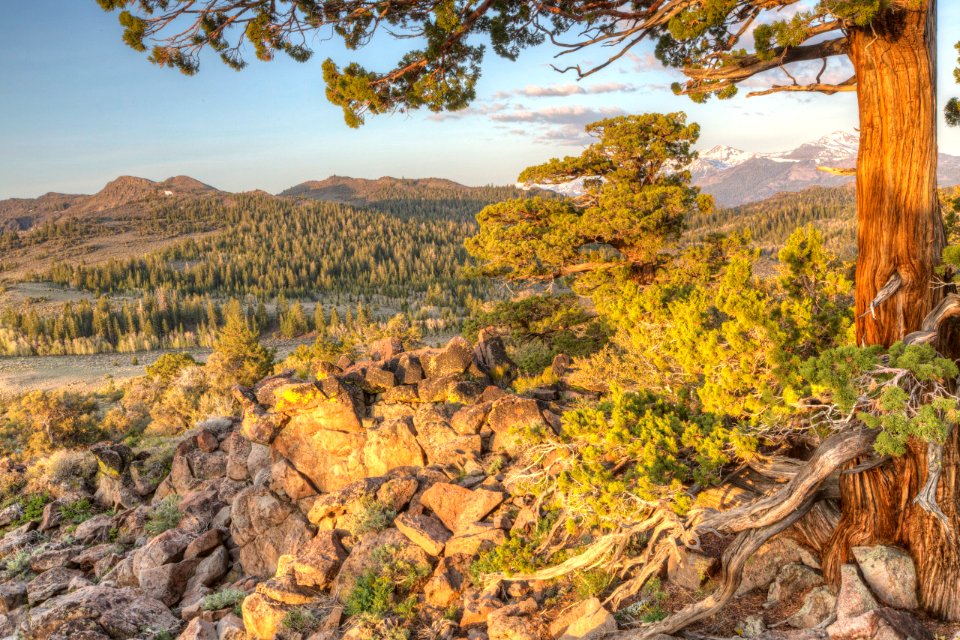 Slinkard Wilderness Study Area