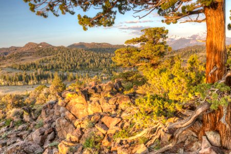 Slinkard Wilderness Study Area photo