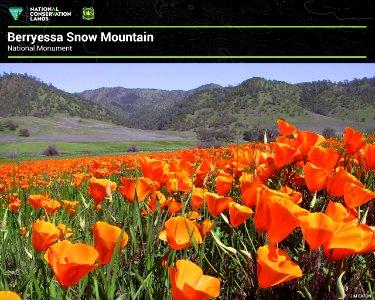 Berryessa Snow Mountain National Monument photo