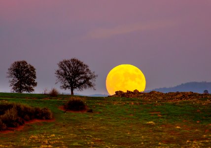 Cronan Ranch photo