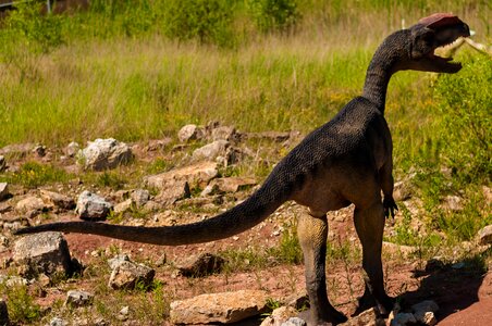 Dino extinct model photo