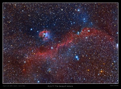 IC2177 Seagull Nebula V2. DSLR image (Explore) photo
