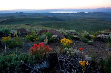 Bodie Hills