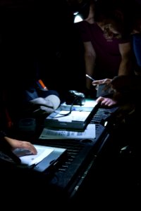 Bethany Beach Firefly Survey - 2019