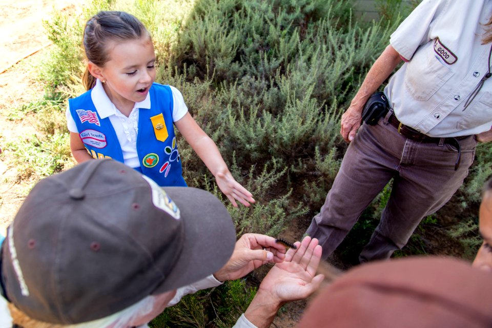 San Diego Bay National Wildlife Refuge - Wilkweed Planting Event