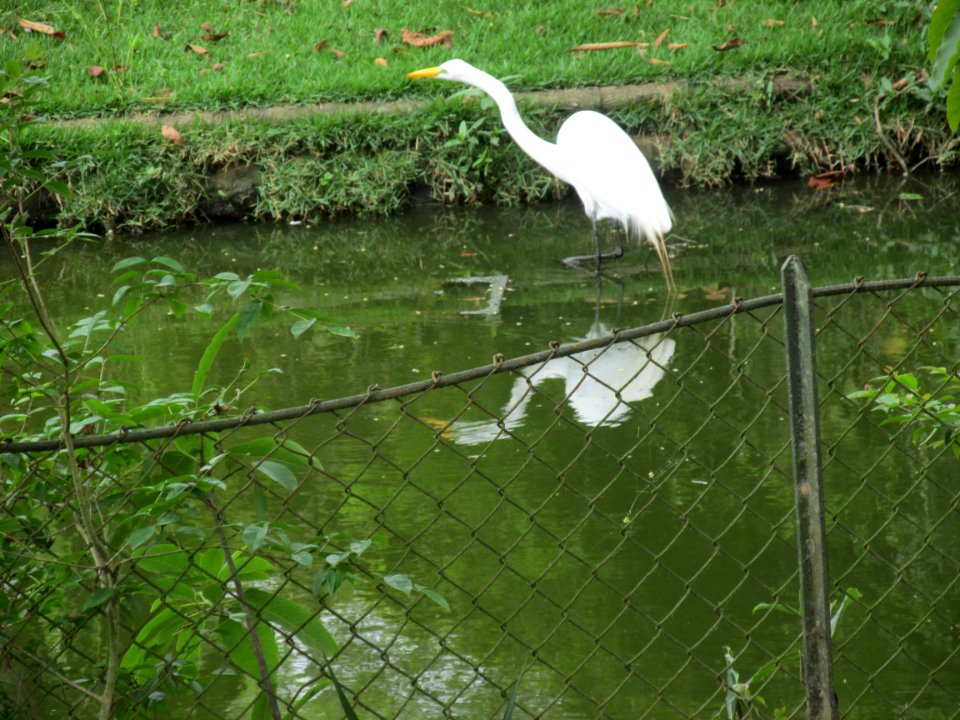 Imagem 026