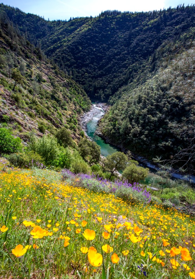 North Fork of the American River