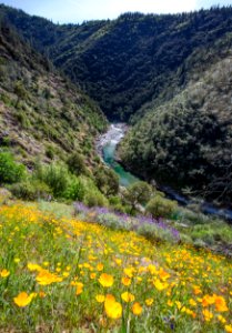 North Fork of the American River