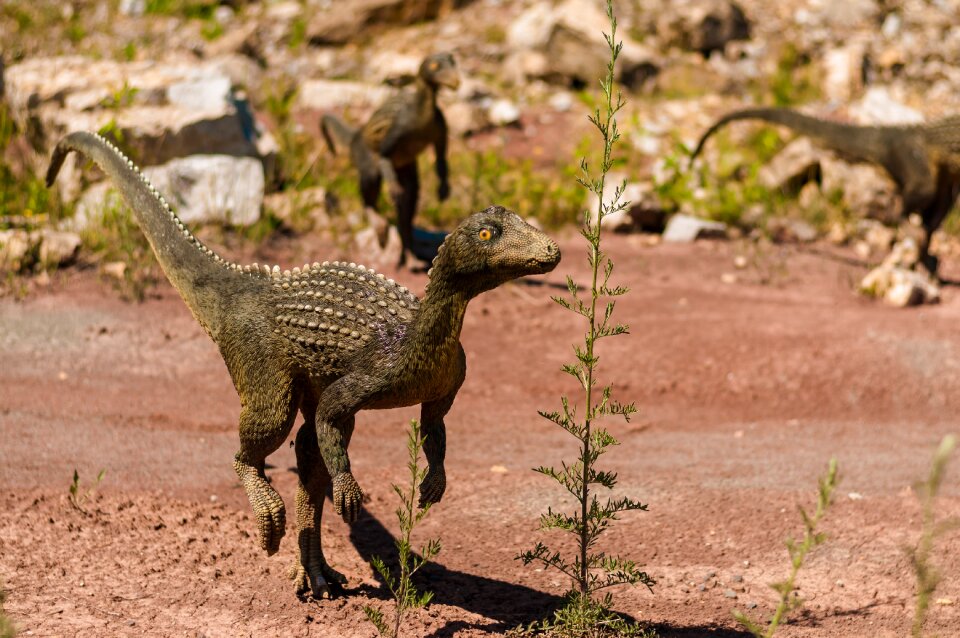 Dino extinct model