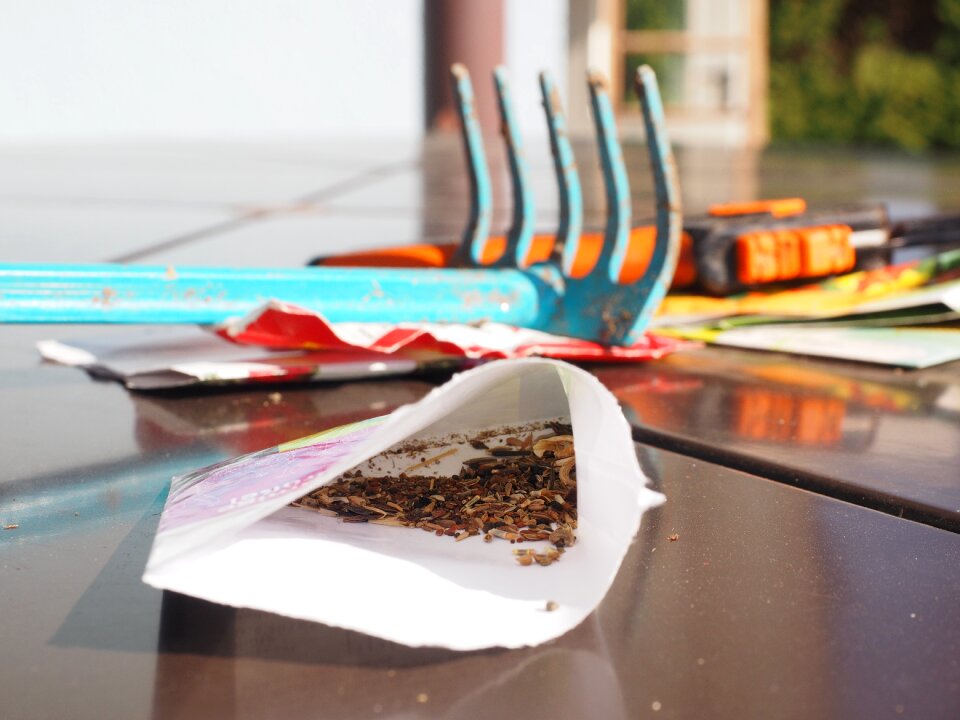 Sow rake flower seeds