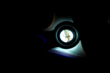Bethany Beach Firefly Survey - 2019