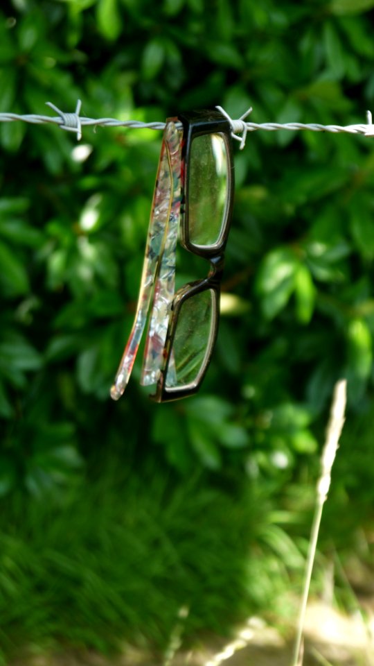Where Did I leave My Glasses?
