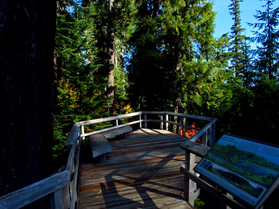 Lava Canyon Trail at Mt. St. Helens