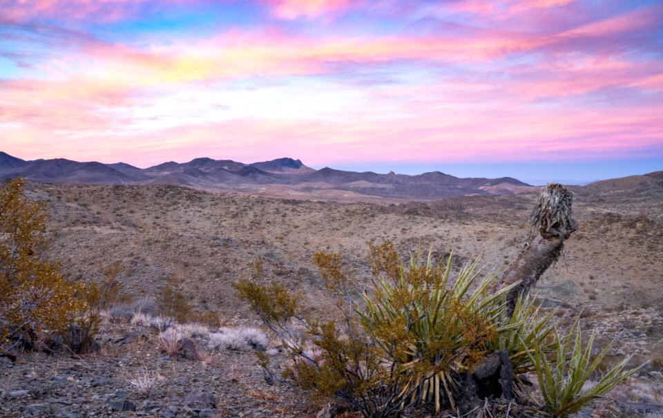 Rodman Mountains Wilderness
