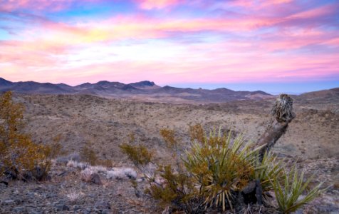 Rodman Mountains Wilderness