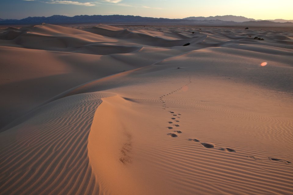 Cadiz Wilderness photo