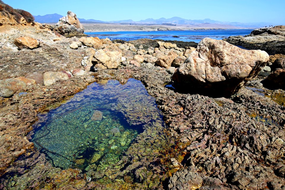 Piedras Blancas Light Station Outstanding Natural Area