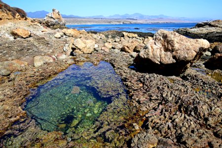 Piedras Blancas Light Station Outstanding Natural Area