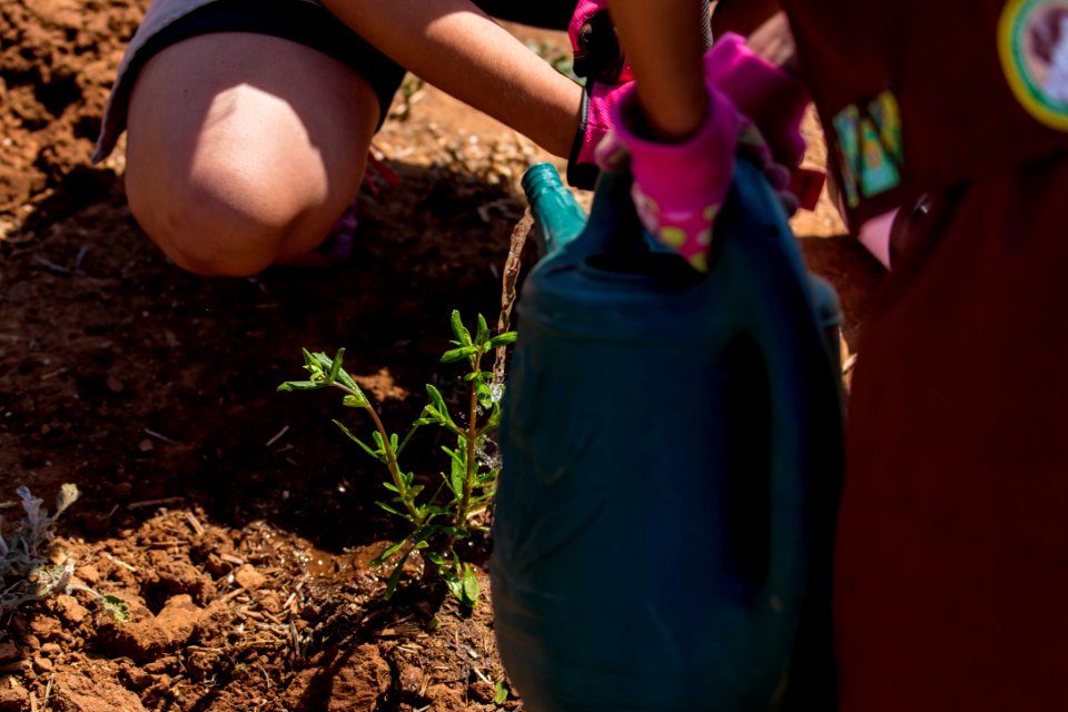 San Diego Bay National Wildlife Refuge - Wilkweed Planting Event
