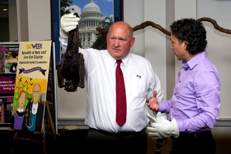 Bat Week 2017 - Congressional Reception