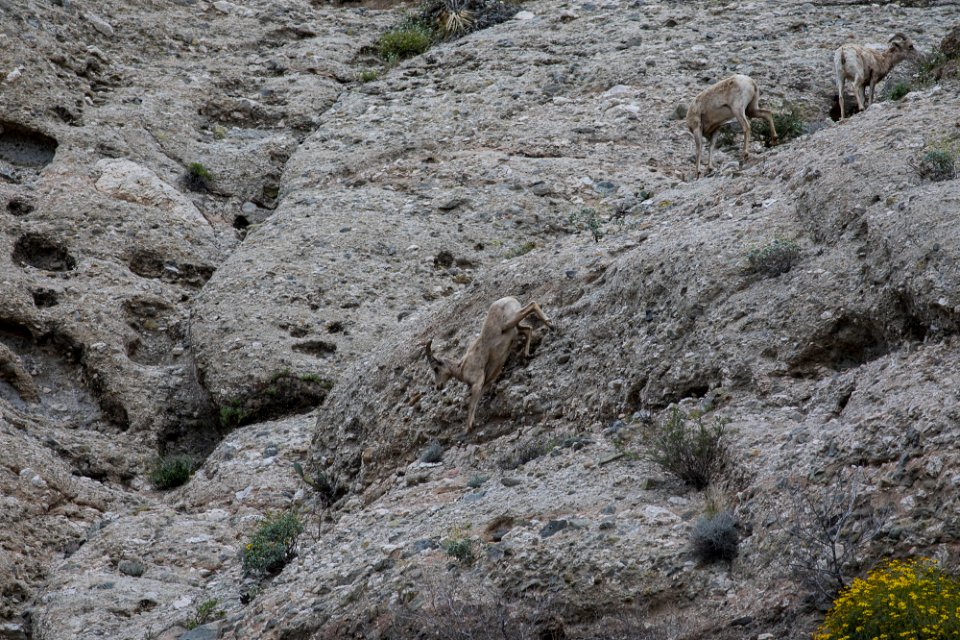 Pacific Crest Trail